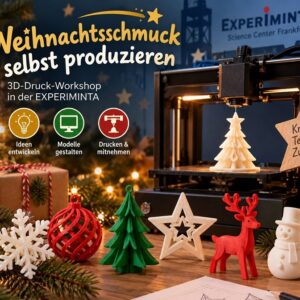 3D-Design: Weihnachtsedition 12.12.26-13.12.26